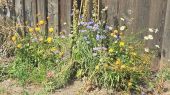018a