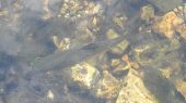 027a