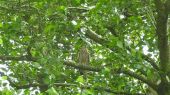 042
