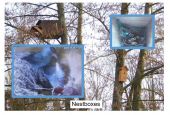 016_nestboxesinfo
